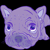 what is happening french bulldog GIF by Percolate Galactic