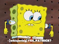 season 7 the curse of bikini bottom GIF by SpongeBob SquarePants