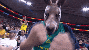Lets Go Fight GIF by DAZN