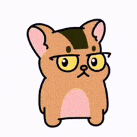 justmoocat cat ding aby GIF