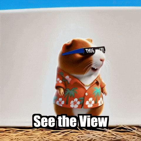 Peace Wisdom GIF by Guinea Gambino