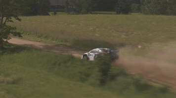 WRC Delfi Rally Estonia 