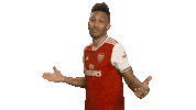 Premier League Epl Sticker by Arsenal