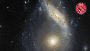 Nasa Universe GIF by ESA/Hubble Space Telescope