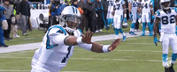 carolina panthers dab GIF by NFL
