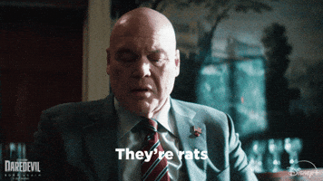 Marvel Television Insult GIF by Marvel Studios