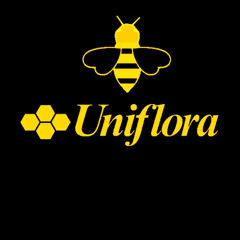 Uniflora giphygifmaker giphyattribution mel abelha GIF