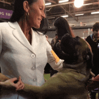 dog show GIF by Westminster Kennel Club