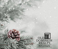 Decorate Real Estate GIF by Old Dominion Realty