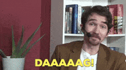 Quizfabriek cheers bye quiz quizfabriek GIF