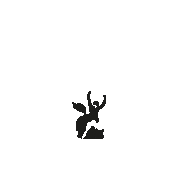 Hof Waterkant Sticker by Momo Equestrian