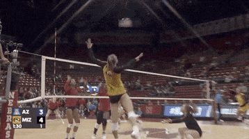 ncaasports ncaa volleyball tigers missouri GIF