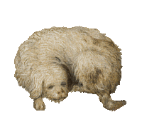 MdbKLeipzig dog doggo leipzig mdbkleipzig Sticker