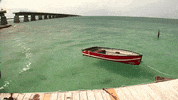 florida GIF