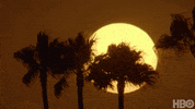 Los Angeles Football GIF by NFL