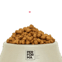 Super Premium Pet Sticker by Solito Alimentos