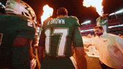 College Football GIF by USF Athletics