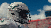 College Football GIF by USF Athletics