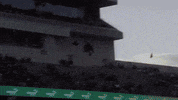 Sport Bobcats GIF by Texas State Football