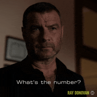 Episode 4 Showtime GIF by Ray Donovan
