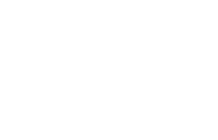 palmaceaswimwear logo swimwear beachwear palmacea Sticker