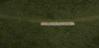 Lacrosse GIF by Lafayette Leopards