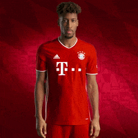 New Jersey King GIF by FC Bayern Munich