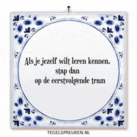 Humor Nl GIF by Tegelspreuken.nl