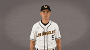 Baseball Calstatela GIF by Cal State LA Golden Eagles