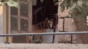 Watching Watch Out GIF by Global Tara Entertainment