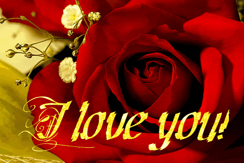 love GIF