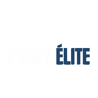 Horse Pony Sticker by EKIDATA