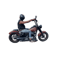 Motorcycle Sticker by Bartels Harley Davidson