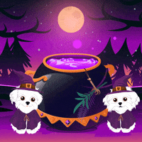 Halloween Dogs GIF by HammyandBrody