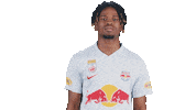 Saluting Aye Aye Sticker by FC Red Bull Salzburg