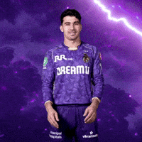 Kolkata Knight Riders Ipl GIF by Knight Riders Sports