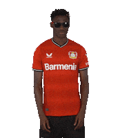 Sun Look Sticker by Bayer 04 Leverkusen