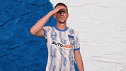 Bundesliga Berlin GIF by Hertha BSC