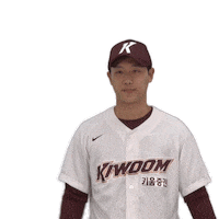 키움 Sticker by Kiwoom Heroes Baseball Club