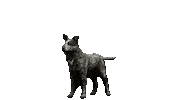Good Boy Dog Sticker by PlayStationDE