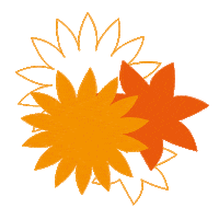 Flower Parade Sticker by Corso Zundert