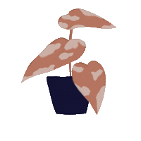 Illustration Grow Sticker