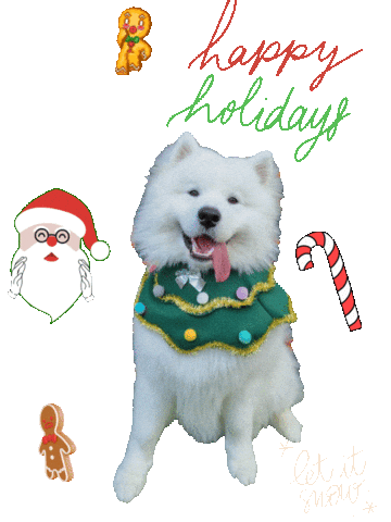 Christmas Benji Sticker