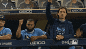 Major League Baseball Sport GIF by MLB