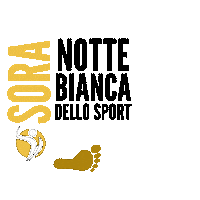 Sport Sora Sticker by Champion Training Sanda Martial Art
