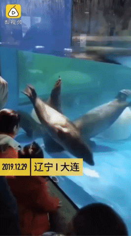 yj_jane giphygifmaker GIF