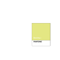 color Sticker by Bershka