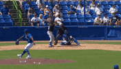 Blue Jays Baseball GIF by Toronto Blue Jays