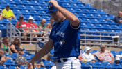 Blue Jays Mlb GIF by Toronto Blue Jays