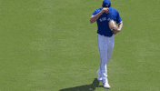 Walk Up Blue Jays GIF by Toronto Blue Jays